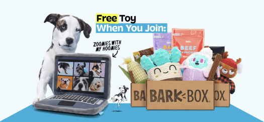 Read more about the article BarkBox Coupon Code – Free FREE Zoom Meeting Laptop Plush Toy!