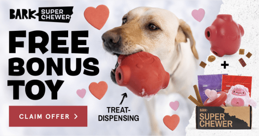Read more about the article BarkBox Super Chewer Coupon Code – FREE Treat Dispensing Toy