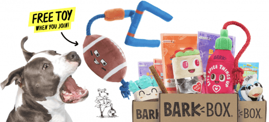 Read more about the article BarkBox Coupon Code – Free Football Plush Toy!