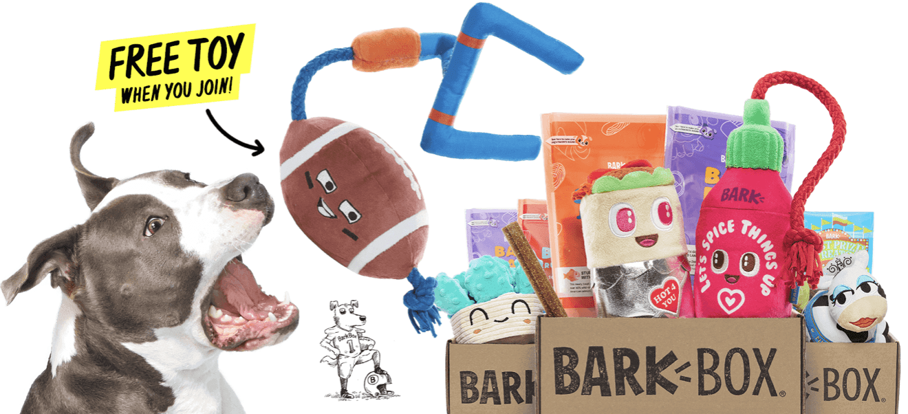 Read more about the article BarkBox Coupon Code – Free Football Plush Toy!