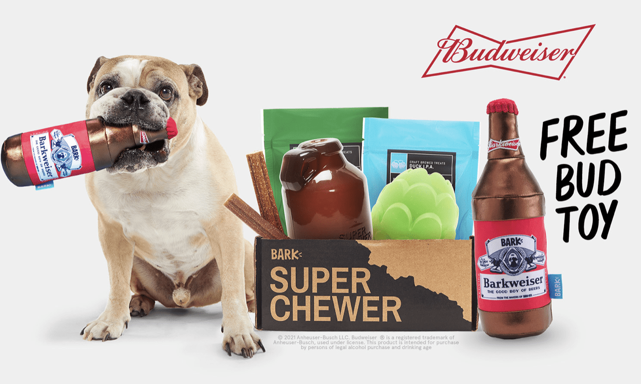 Read more about the article BarkBox Super Chewer Coupon Code – FREE Treat Dispensing Toy