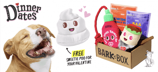 Read more about the article BarkBox Coupon Code: Free Extra Toy Per Month