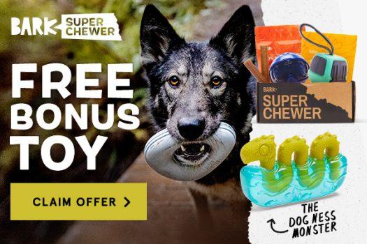 Read more about the article BarkBox Super Chewer Coupon Code – FREE Dog Ness Monster Toy!