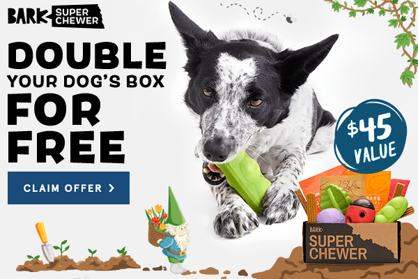 Read more about the article BarkBox Super Chewer Coupon Code – Double Your First Box