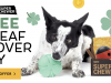 BarkBox Super Chewer Coupon Code – FREE 4 Leaf Clover Toy!