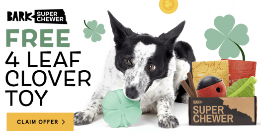 Read more about the article BarkBox Super Chewer Coupon Code – FREE 4 Leaf Clover Toy!