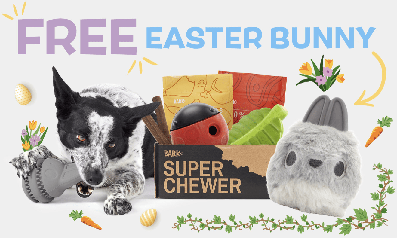 Read more about the article BarkBox Super Chewer Coupon Code – Free Easter Bunny Toy!