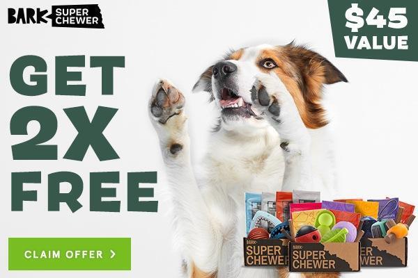 Read more about the article BarkBox Super Chewer Coupon Code – Double Your First Box