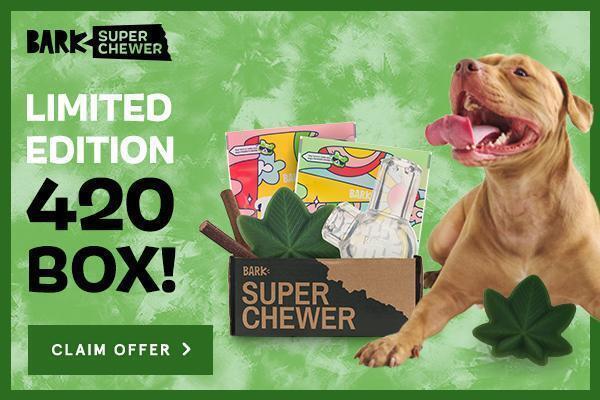 Read more about the article BarkBox Super Chewer Coupon Code – Start Your Subscription With The 420 Box