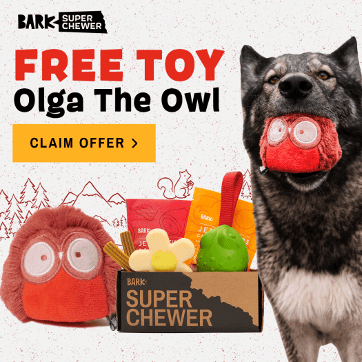BarkBox Super Chewer Coupon Code – FREE Olga The Owl Toy!