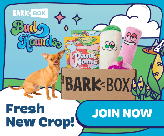Read more about the article BarkBox- Start Your Subscription With The Limited Edition 420 Box