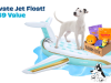 BarkBox Coupon Code – Free FUNBOY Pool Float!