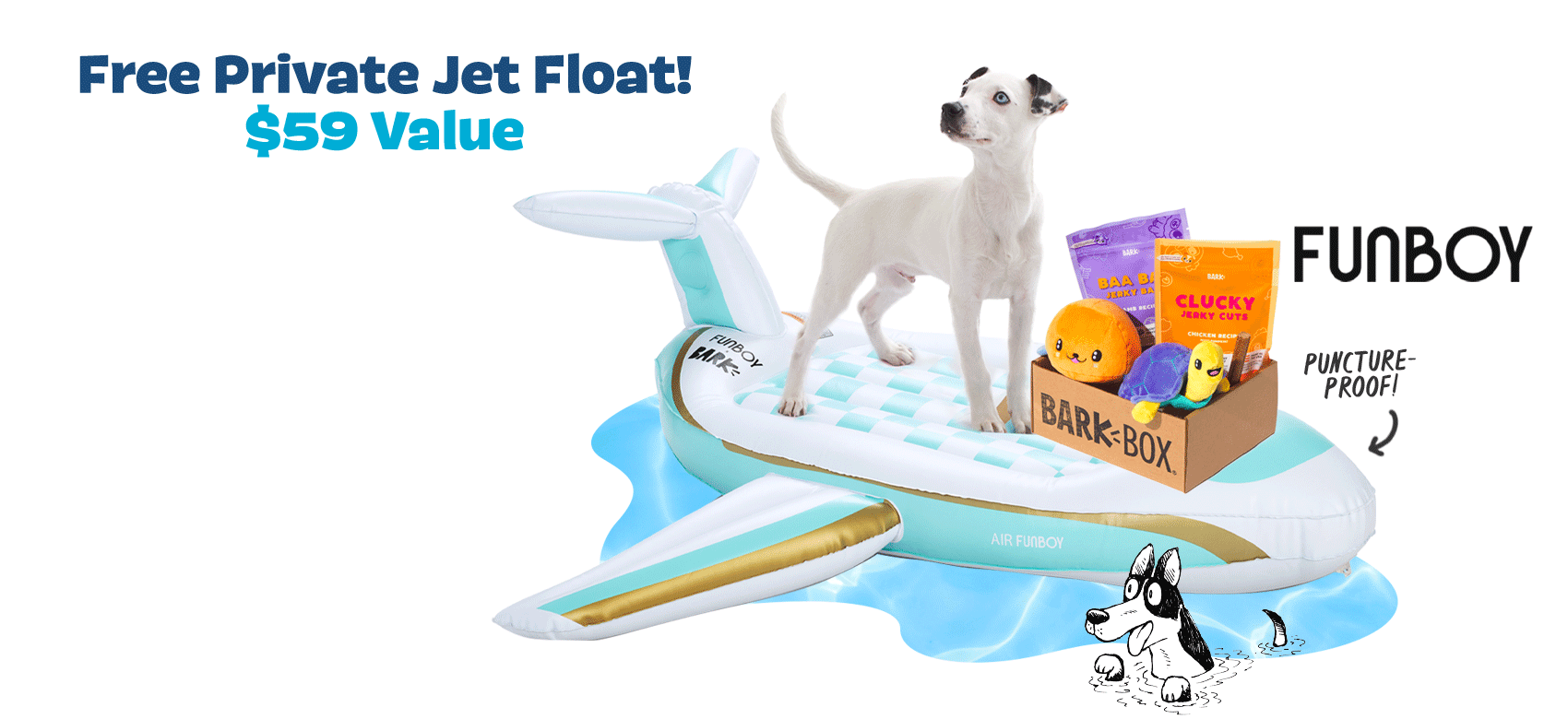 barkbox pool float