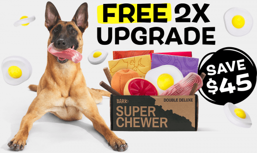 BarkBox Super Chewer Coupon Code – Double Your First Box