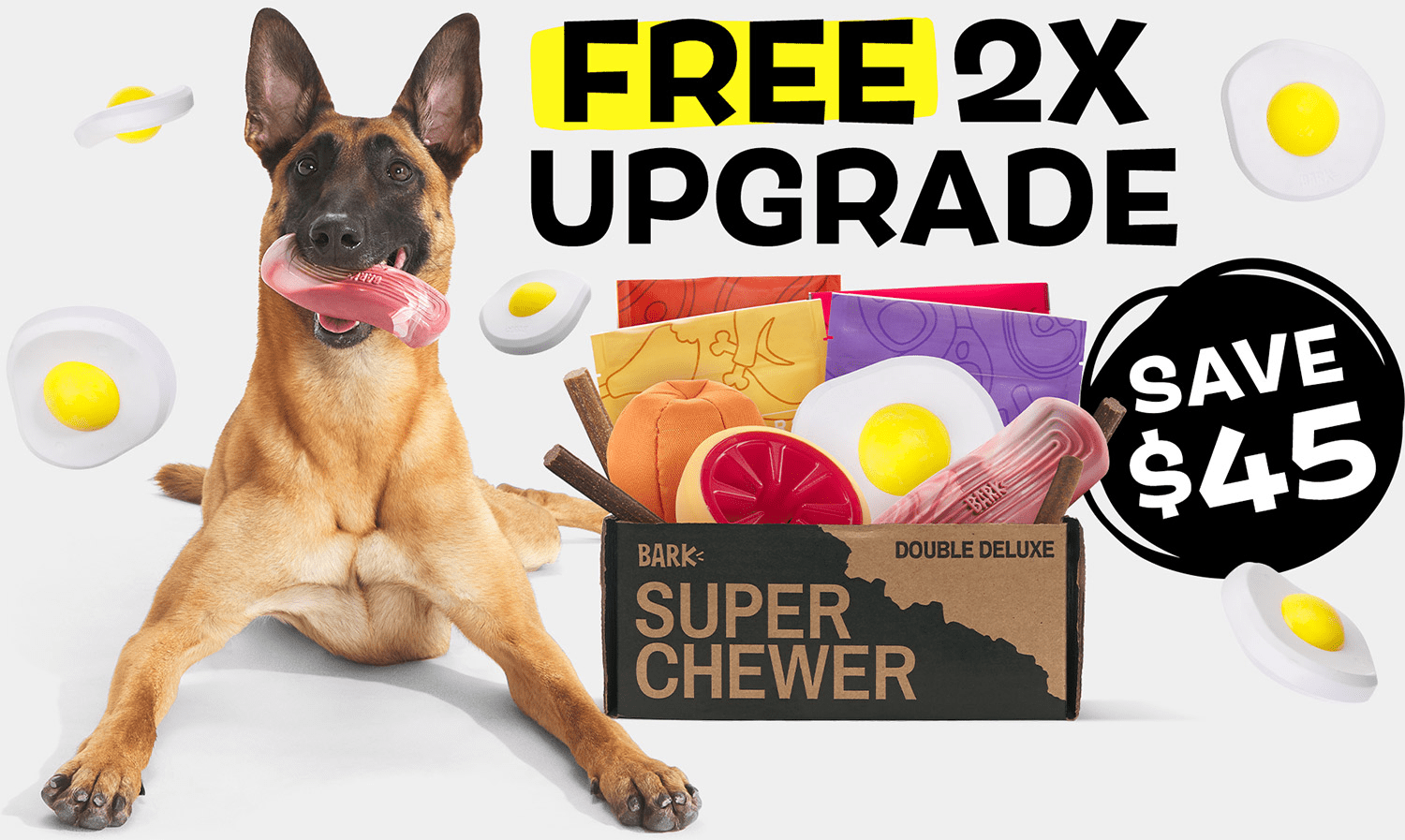 Read more about the article BarkBox Super Chewer Coupon Code – Double Your First Box