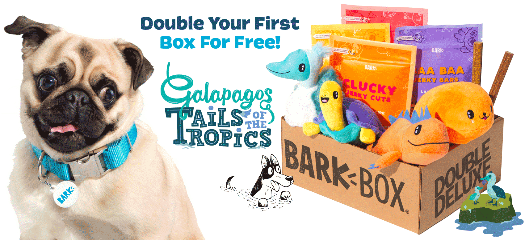 Read more about the article BarkBox Coupon Code – Double Your First Box Free!