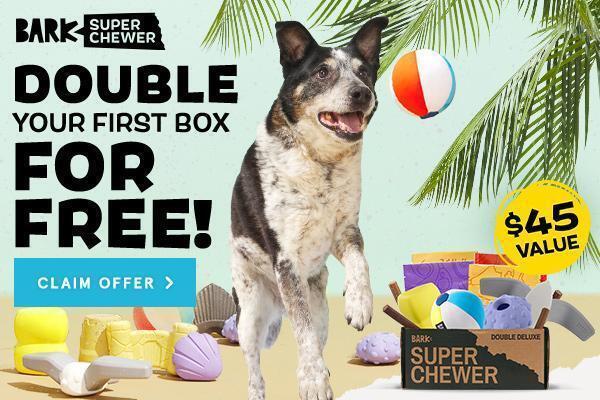 Read more about the article BarkBox Super Chewer Coupon Code – Double Your First Box