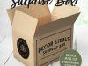 Decor Steals Surprise Box – On Sale Now!