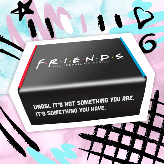 Read more about the article Friends Subscription Box Summer 2021 – Spoiler #1