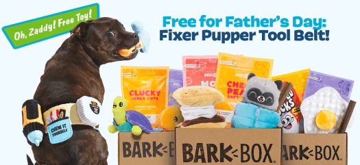 Read more about the article BarkBox Coupon Code – FREE Fixer Pupper Tool Belt Wearable!