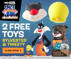 Read more about the article BarkBox Super Chewer Coupon Code – FREE Sylvester & Tweety Ball set!