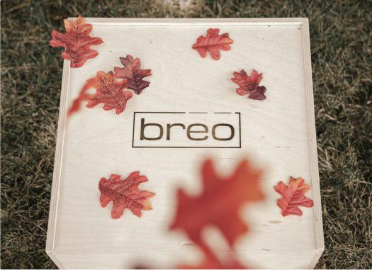 Breo Box Fall 2021 – Spoiler #1