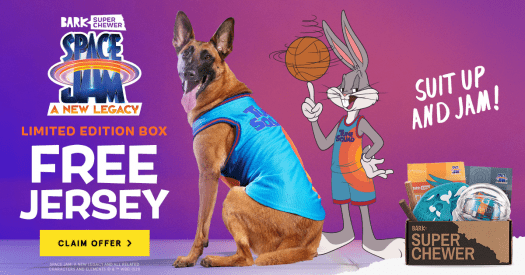 BarkBox Super Chewer Coupon Code – FREE Space Jam Tune or Goon Dog Jersey!
