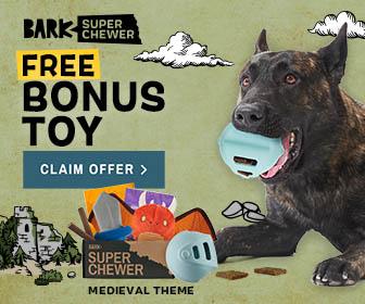 Read more about the article BarkBox Super Chewer Coupon Code – Knight Helmet Bonus Toy