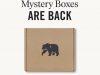 The Normal Brand Mystery Boxes – On Sale Now