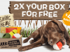 BarkBox Super Chewer Coupon Code – Double Your First Box