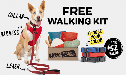 Read more about the article BarkBox Super Chewer Coupon Code – FREE Dog Walk Pack