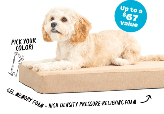 FREE Dog Bed (up to $67 value)