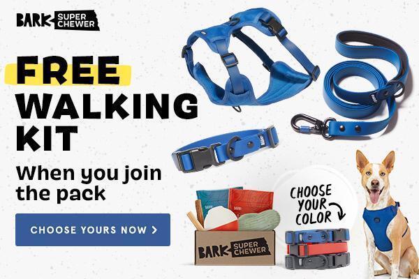 Read more about the article BarkBox Super Chewer Coupon Code – FREE Dog Walk Pack (collar, leash + harness bundle)