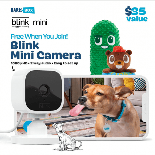 Read more about the article BarkBox Coupon Code: FREE Blink Mini Camera