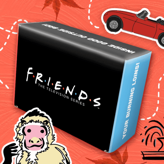 Friends Subscription Box Fall 2021 – Spoiler #1