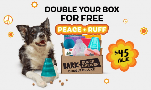 Read more about the article BarkBox Super Chewer Coupon Code – Double Your First Box