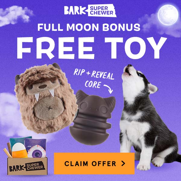 Read more about the article BarkBox Super Chewer Coupon Code – FREE Werewolf Dog Toy