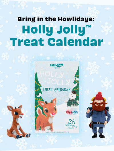 BarkBox Holly Jolly Treat Advent Calendar!