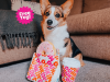 BarkBox Super Chewer Coupon Code – FREE Dunkin’ toy