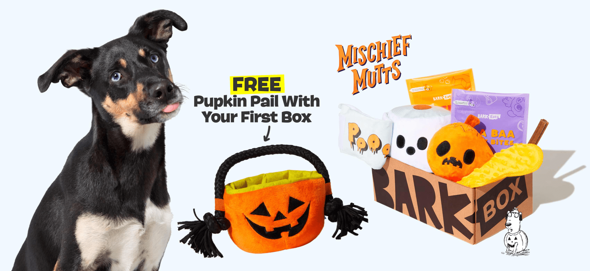 Read more about the article BarkBox Coupon Code: FREE Pumpkin Pail Toy