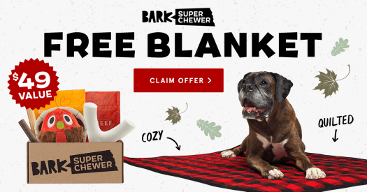 Read more about the article BarkBox Super Chewer Coupon Code – FREE Lounge-n-Play Blanket