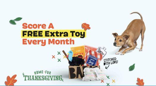 Read more about the article BarkBox Coupon Code: Free Extra Toys!