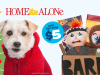 BarkBox Black Friday Coupon Code – First Box for $5