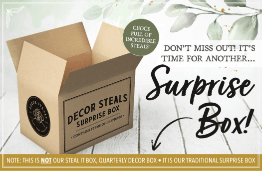 Decor Steals Surprise Box – On Sale Now!