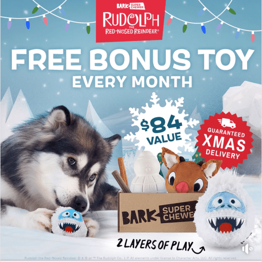 Read more about the article BarkBox Super Chewer Coupon Code – Free Bonus Toy Every Month