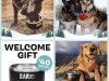 BarkBox Super Chewer Coupon Code – FREE Yeti Dog Bowl!