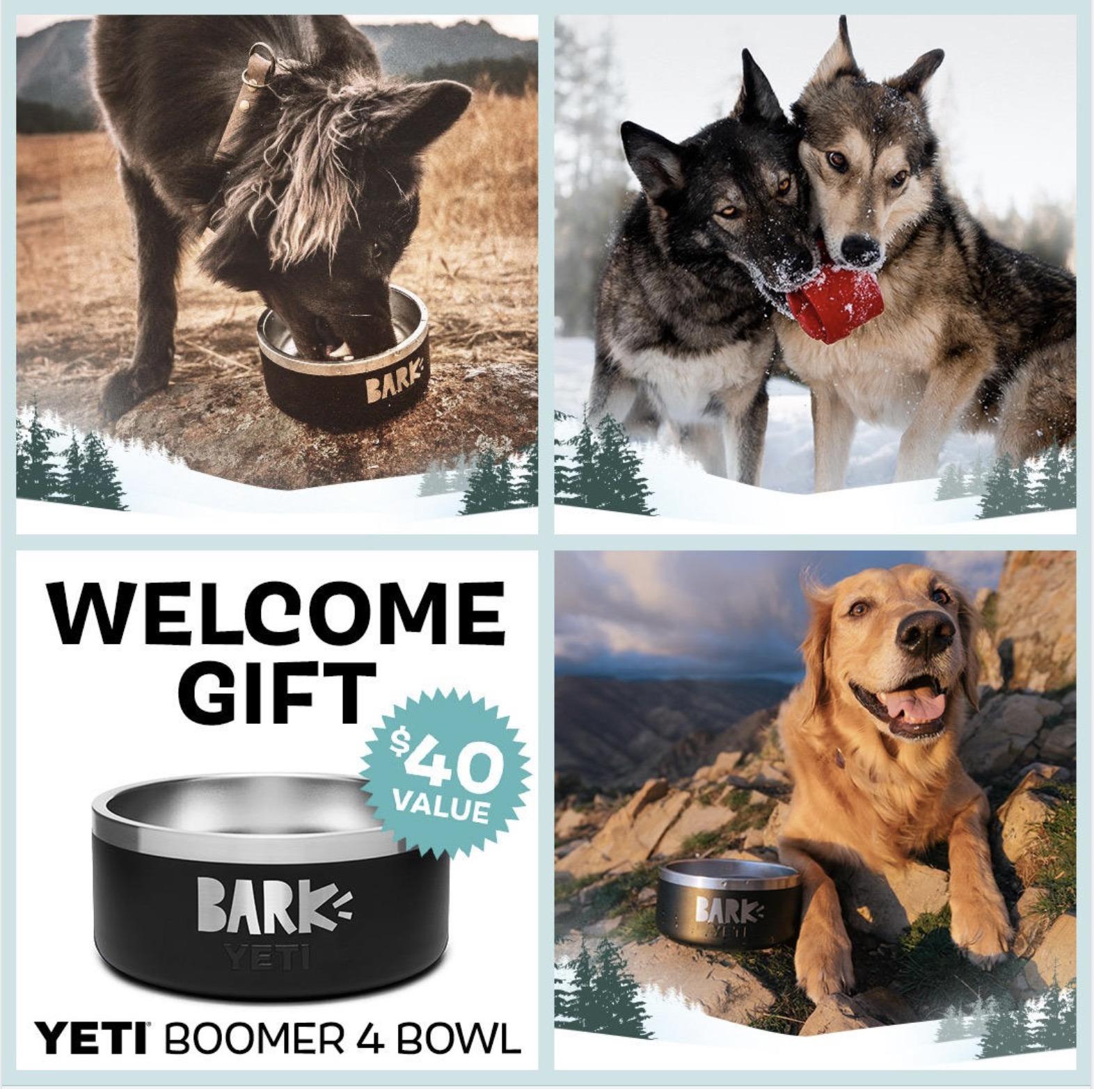 BarkBox Super Chewer Coupon Code – FREE Yeti Dog Bowl!