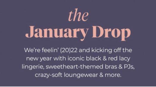 Read more about the article Adore Me January 2022 Selection Window Open + Coupon Code!