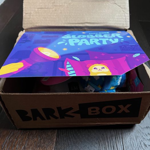 BarkBox Review + Coupon Code - January 2022
