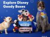 Chewy Disney Goody Boxes Are Now Available